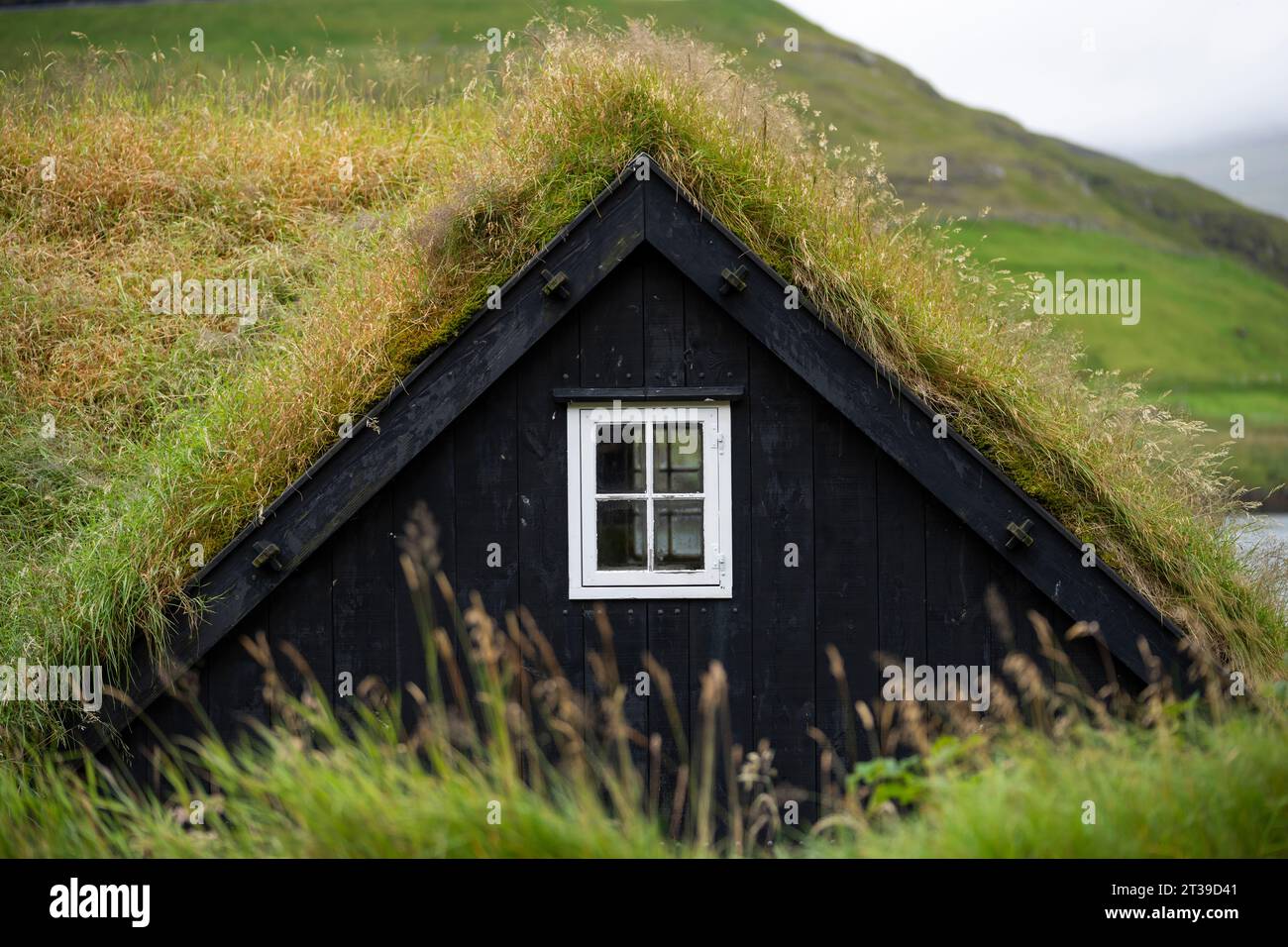 Exterior of small rural house with window located in dense green grass ...