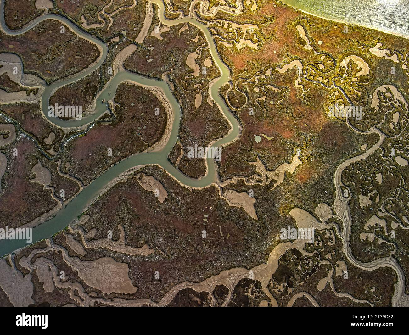 Aerial view of intertwining water channels weaving through earth-toned ...