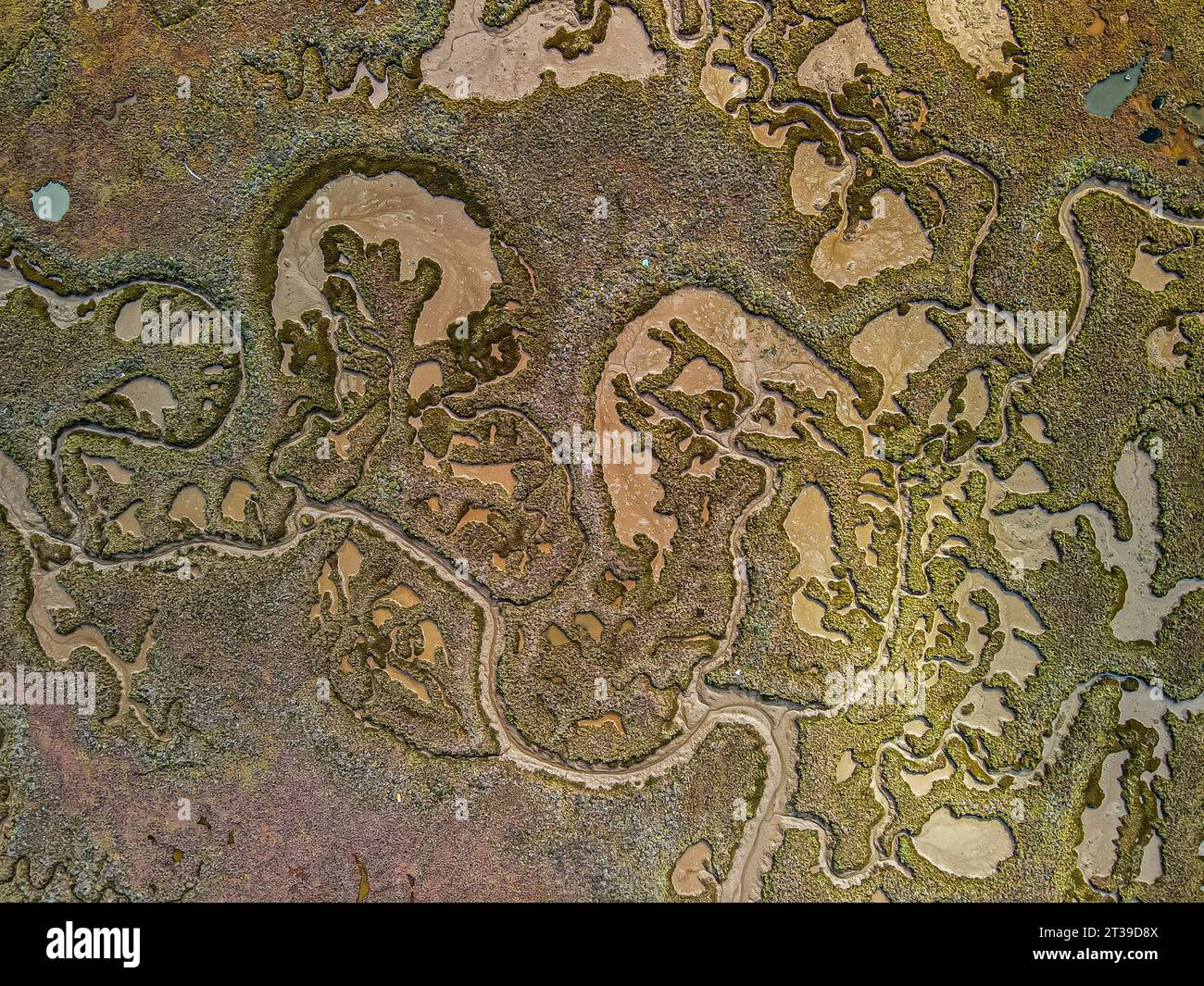 Aerial view of intertwining water channels weaving through earth-toned ...