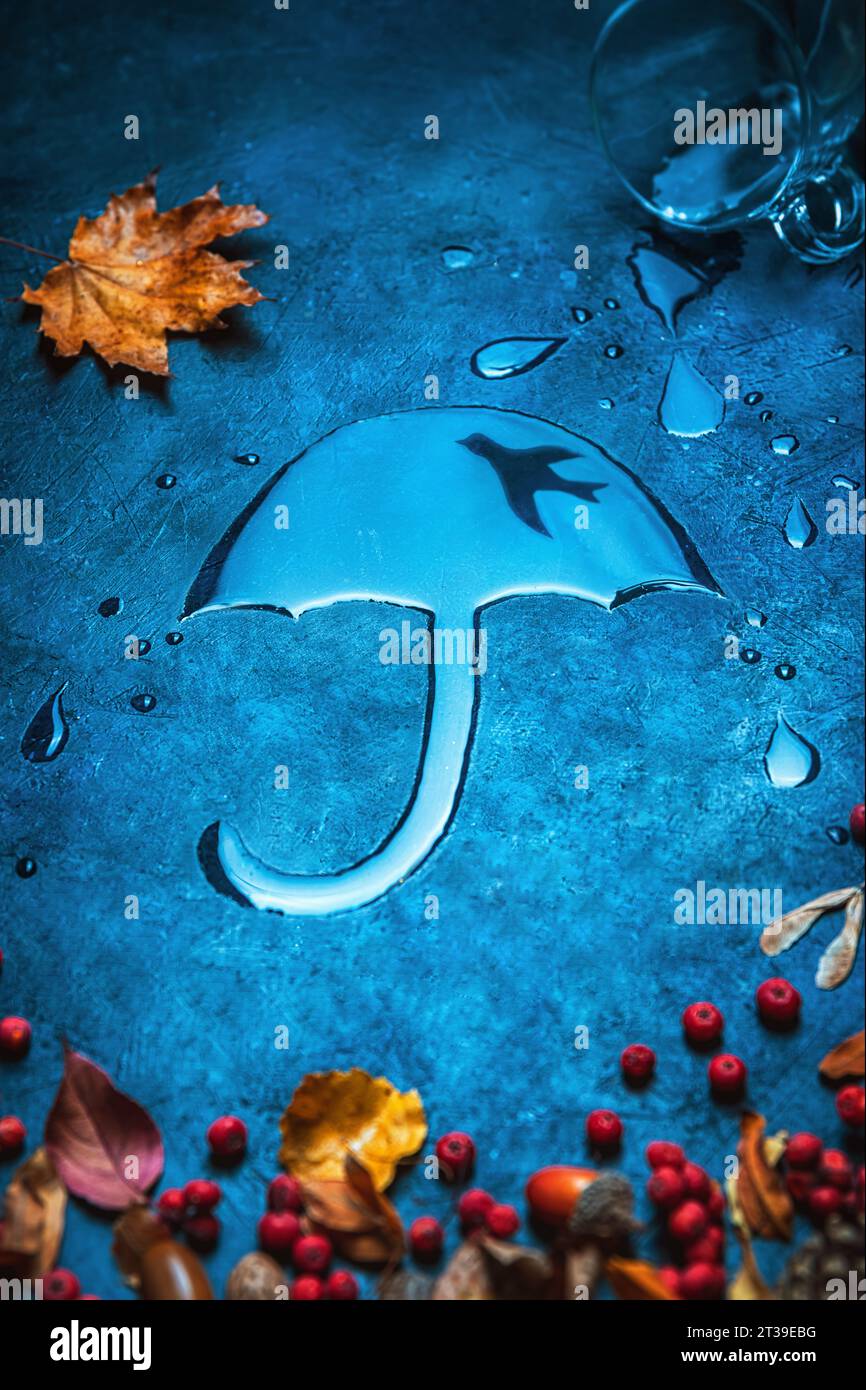 Creative shot, autumn concept, rains, umbrella-shaped puddle Stock Photo