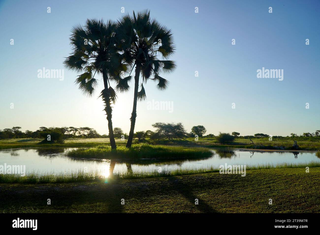 Pristine wild nature hi-res stock photography and images - Alamy