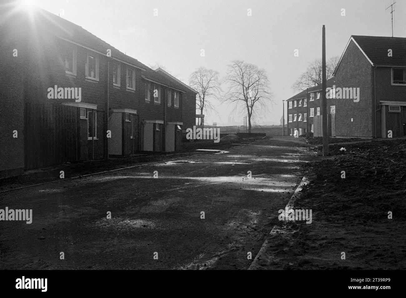 A street of new houses, adjacent to Robin Hoods Chase, built during the
