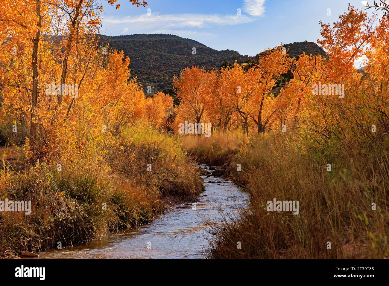 Pleasant creek hi-res stock photography and images - Alamy