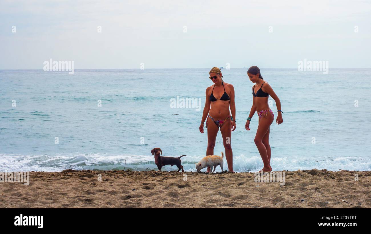 Marbella, Spain. 09/03/2023.  Bathers walking and playing with their dogs on the seashore in Marbella. Stock Photo