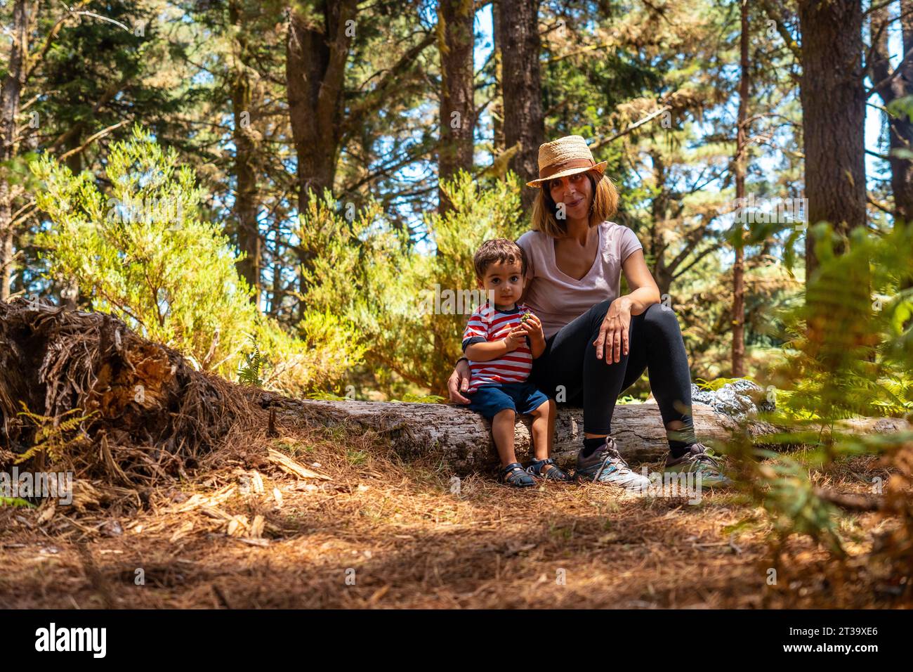 Eine Mutter mit ihrem Sohn sitzt auf einem Baum in der Natur neben Kiefern, Madeira. Portugal Stock Photo