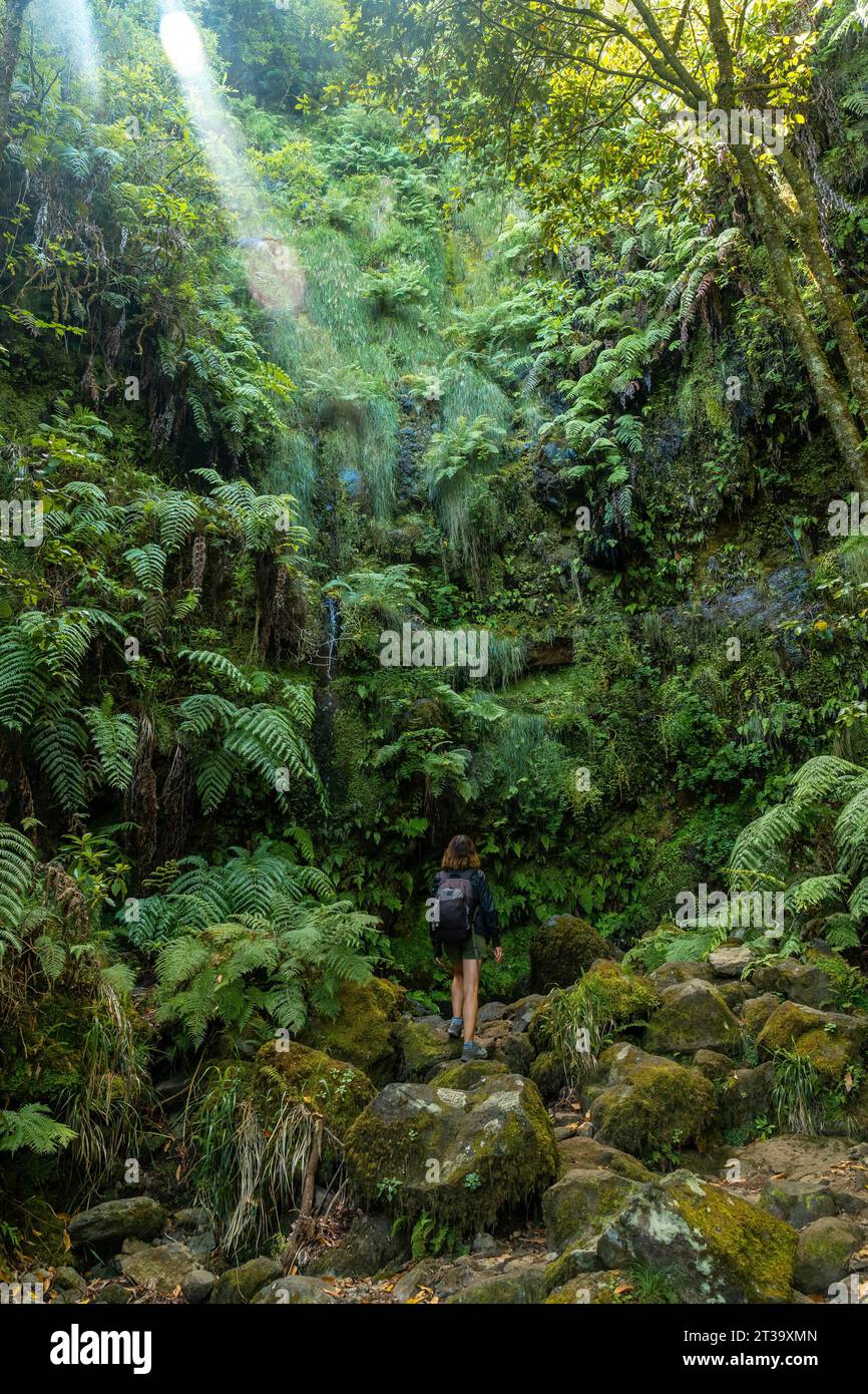 Eine junge Frau in der üppigen grünen Vegetation des Wanderwegs Levada do Caldeirao Verde, Queimadas, Madeira Stock Photo