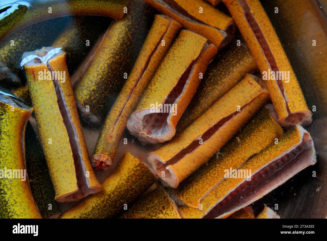 Eel skin texture hi-res stock photography and images - Alamy
