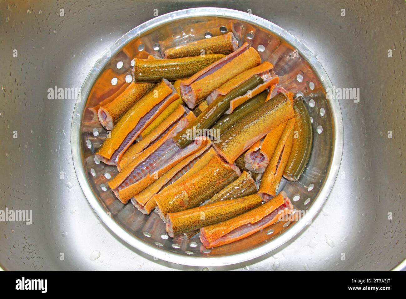 Eel skin texture hi-res stock photography and images - Alamy