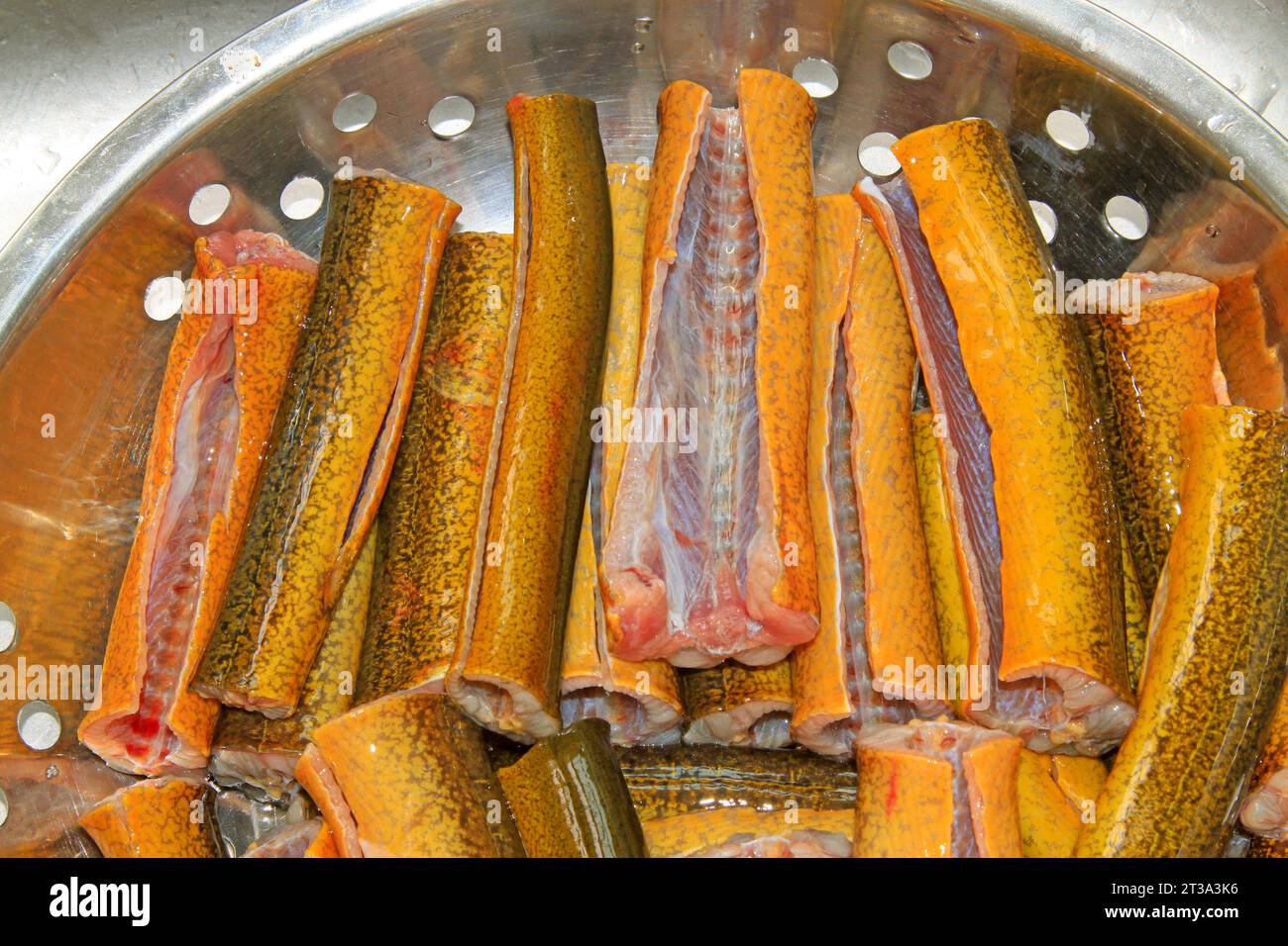 Eel skin texture hi-res stock photography and images - Alamy
