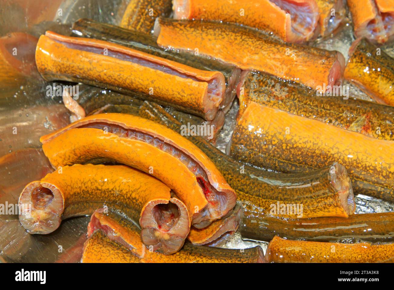 Eel skin texture hi-res stock photography and images - Alamy