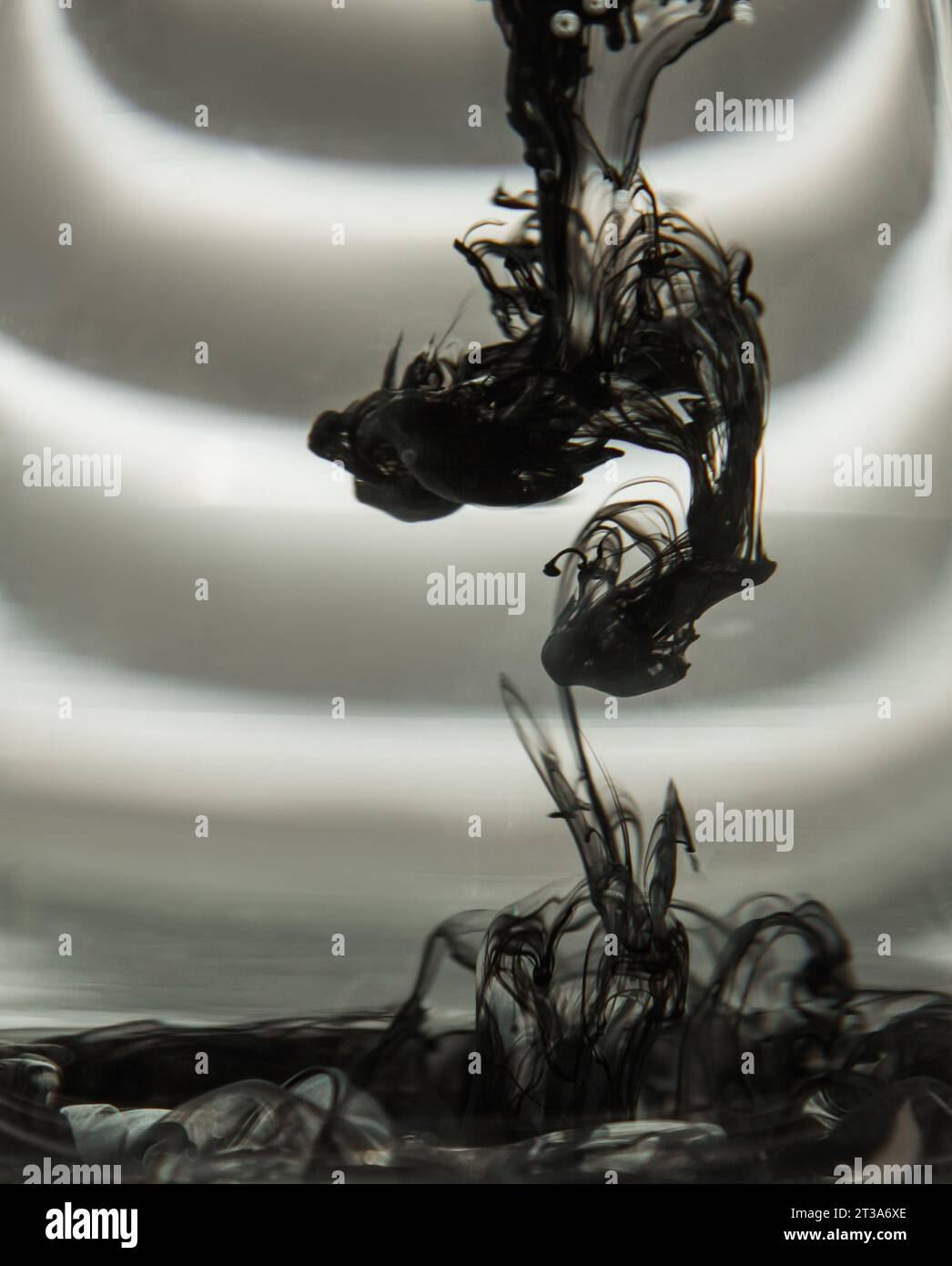 Light Rays Ink a cloud of ink in a transparent glass cup with clear water against the ...