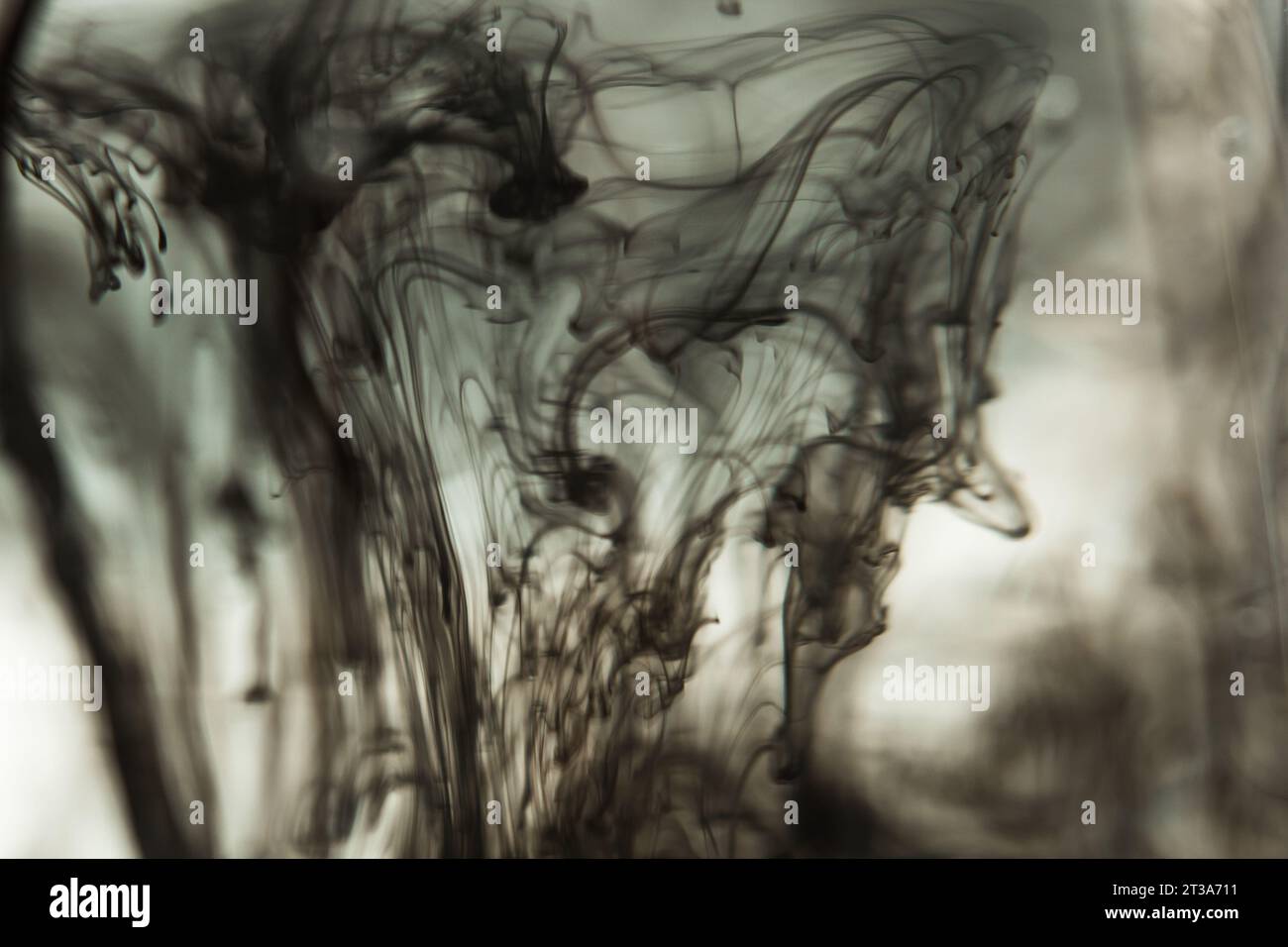 a cloud of ink in a transparent glass cup with clear water amid rays of ...