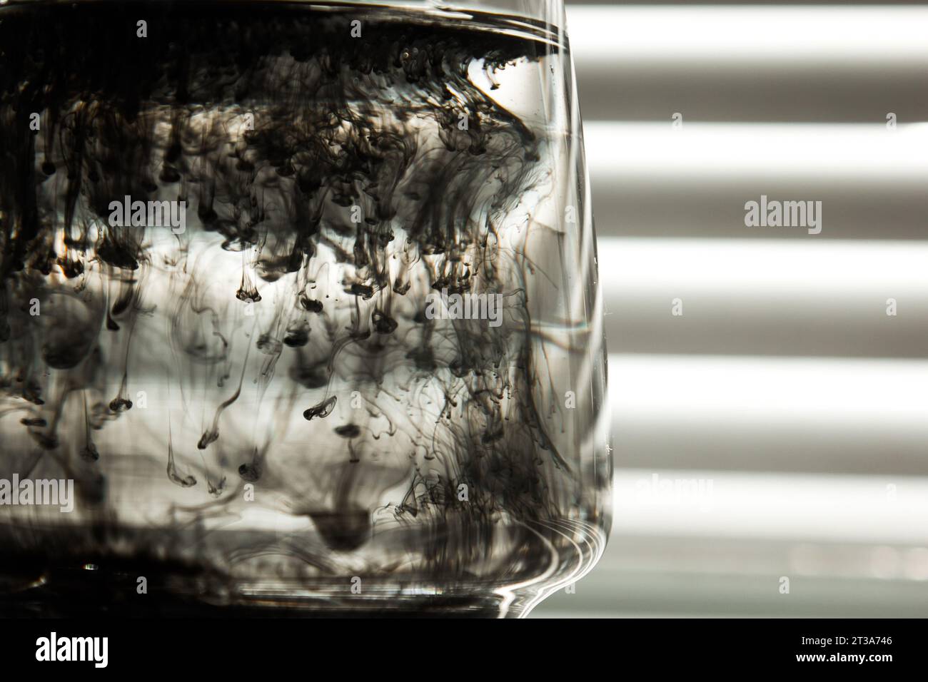 a cloud of ink in a transparent glass cup with clear water against the ...