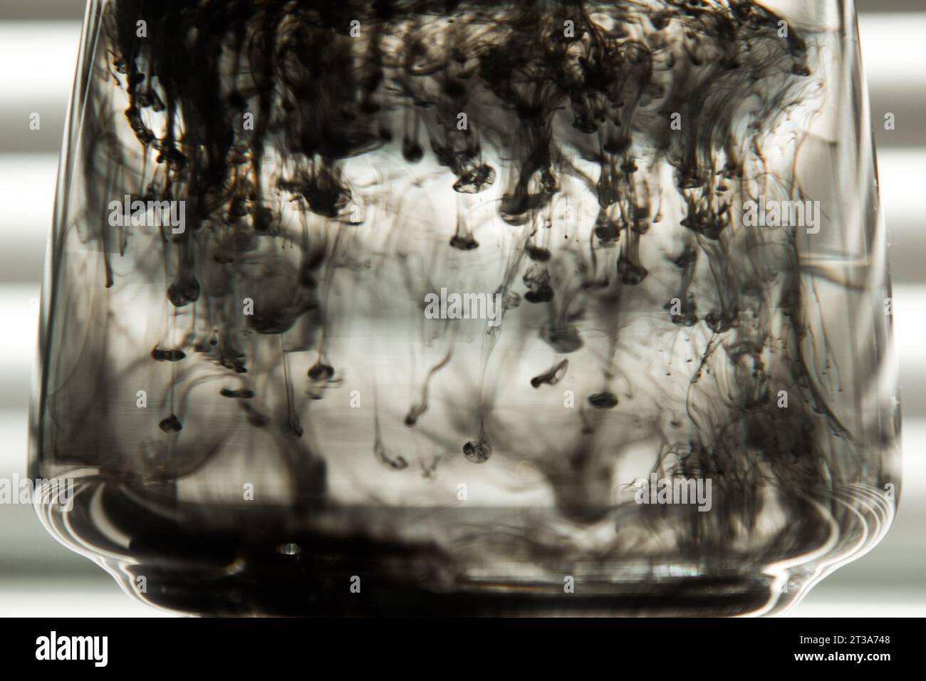 a cloud of ink in a transparent glass cup with clear water against the ...