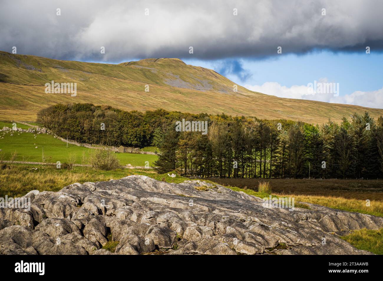 Whernside is a mountain in the Yorkshire Dales in Northern England. It is the highest of the