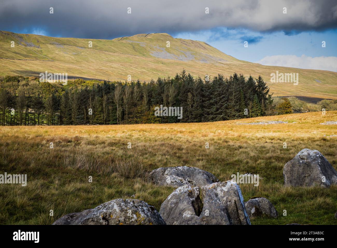 Whernside is a mountain in the Yorkshire Dales in Northern England. It is the highest of the