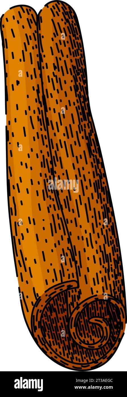 ingredient cinnamon sketch hand drawn vector Stock Vector Image & Art ...