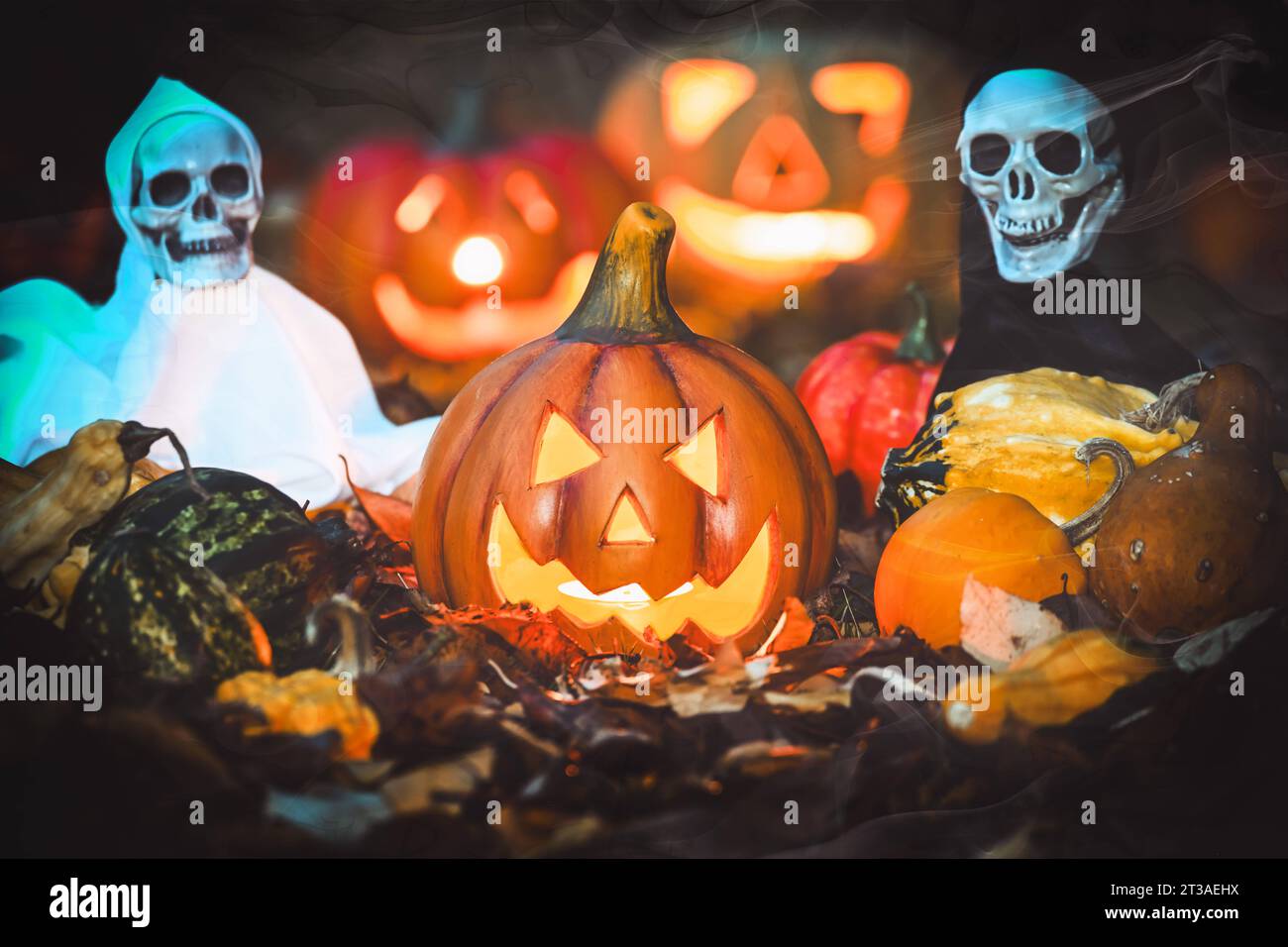 Halloween-Dekoration am Abend *** Halloween decoration in the evening 