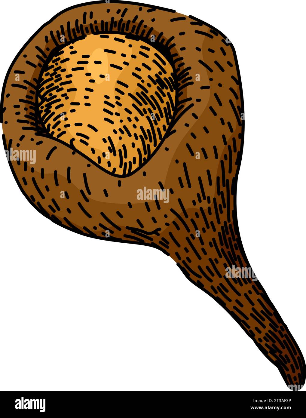 brown cinnamon sketch hand drawn vector Stock Vector Image & Art - Alamy