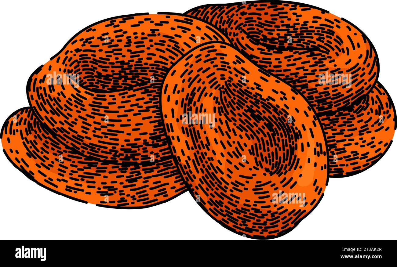 dry dried fruit sketch hand drawn vector Stock Vector Image & Art - Alamy