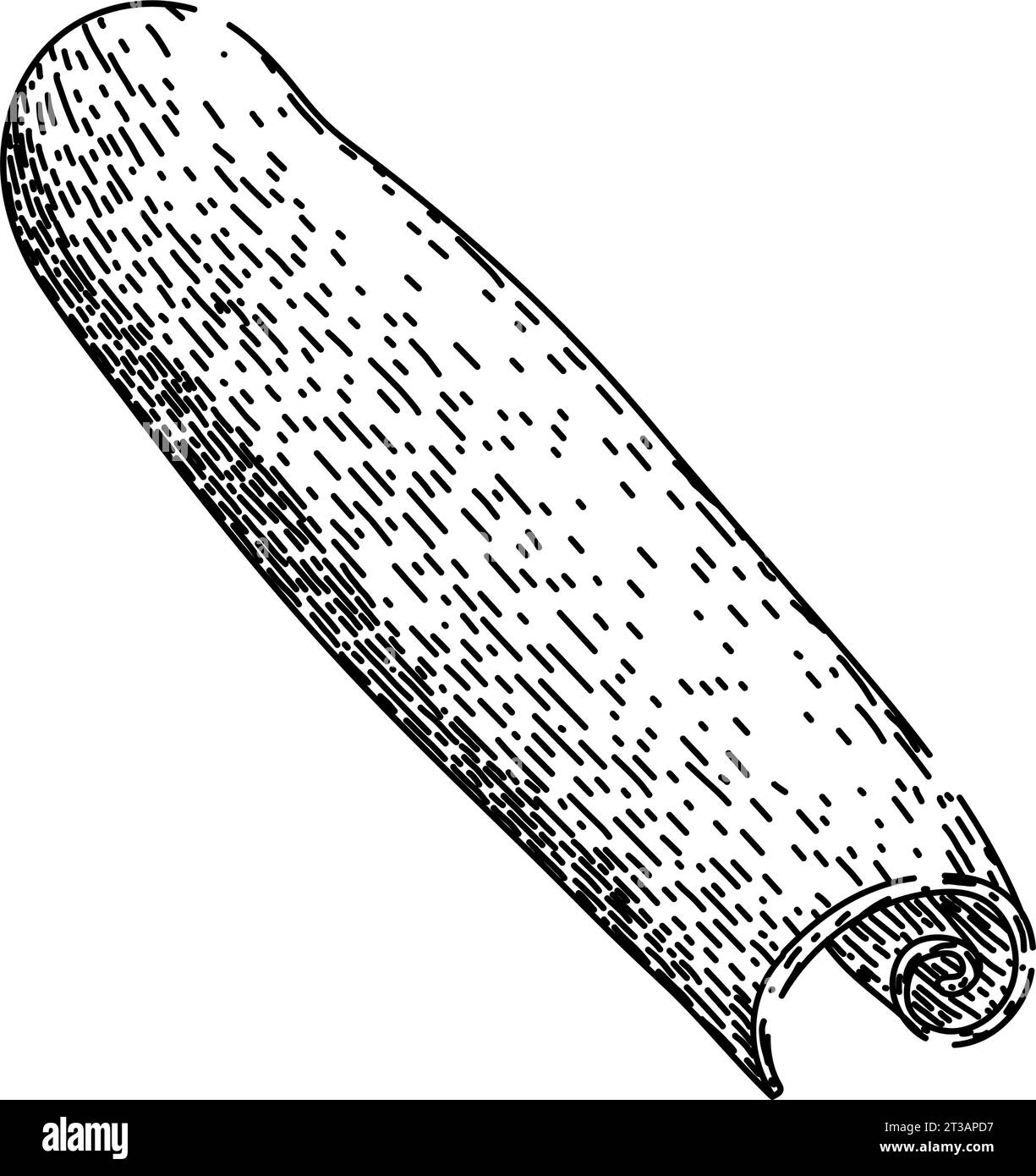 aromatic cinnamon sketch hand drawn vector Stock Vector
