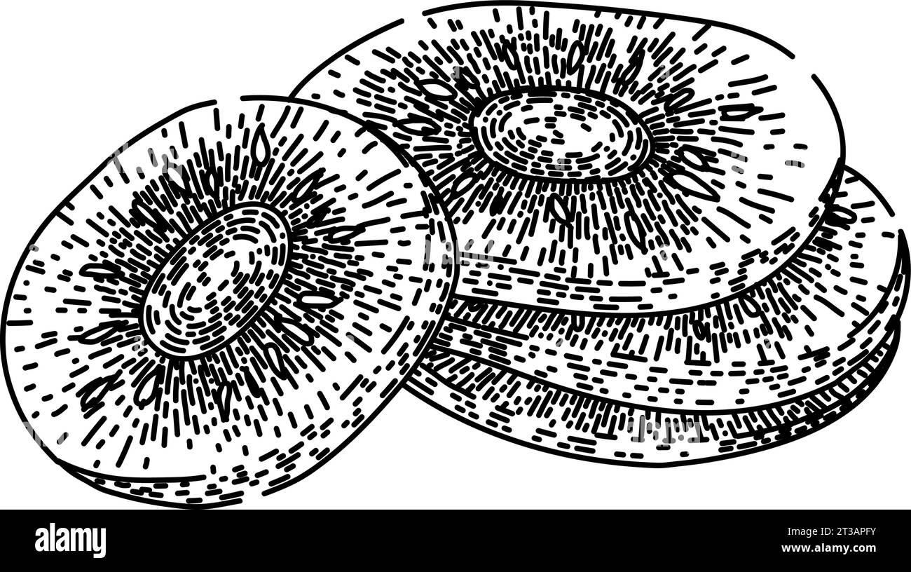 healthy dried fruit sketch hand drawn vector Stock Vector Image & Art