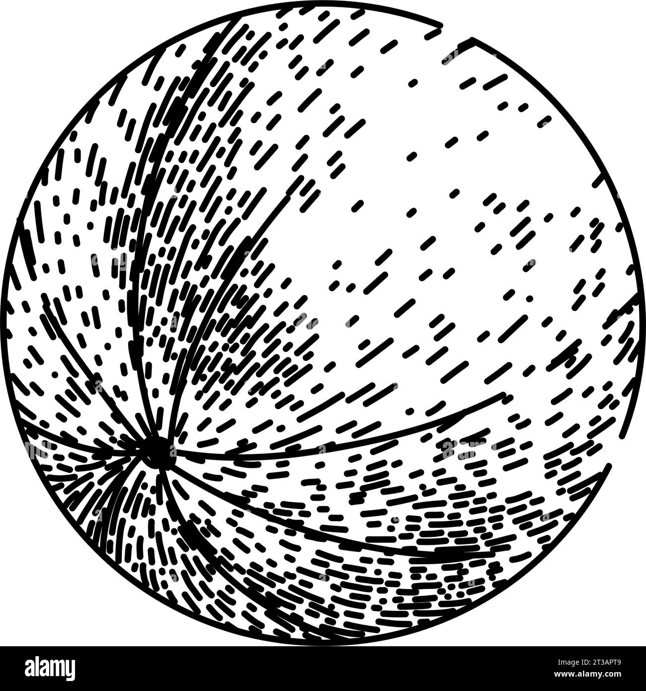 healthy gooseberry sketch hand drawn vector Stock Vector Image & Art