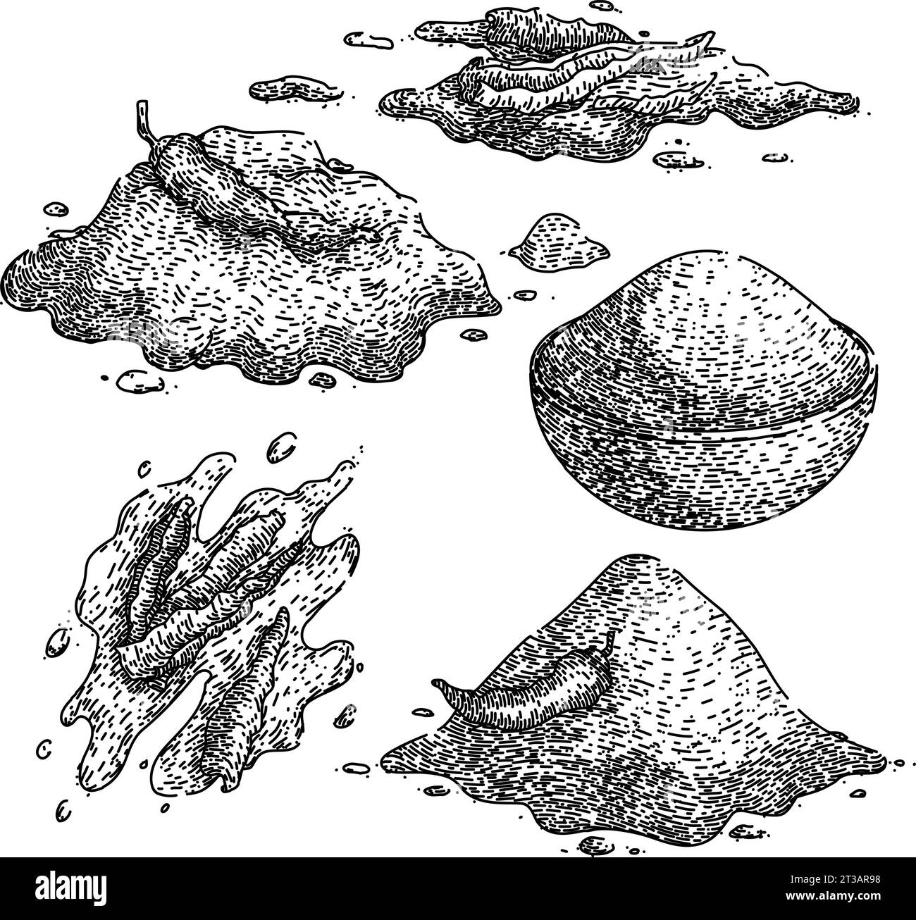 paprika set sketch hand drawn vector Stock Vector Image & Art Alamy