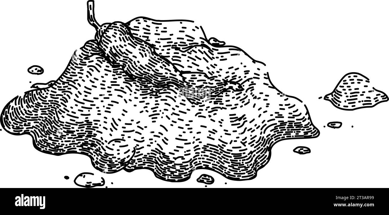 food paprika sketch hand drawn vector Stock Vector Image & Art Alamy