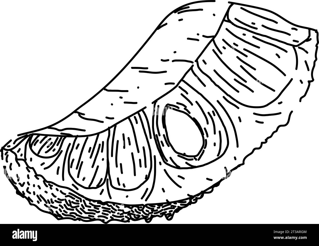 food jackfruit sketch hand drawn vector Stock Vector Image & Art Alamy