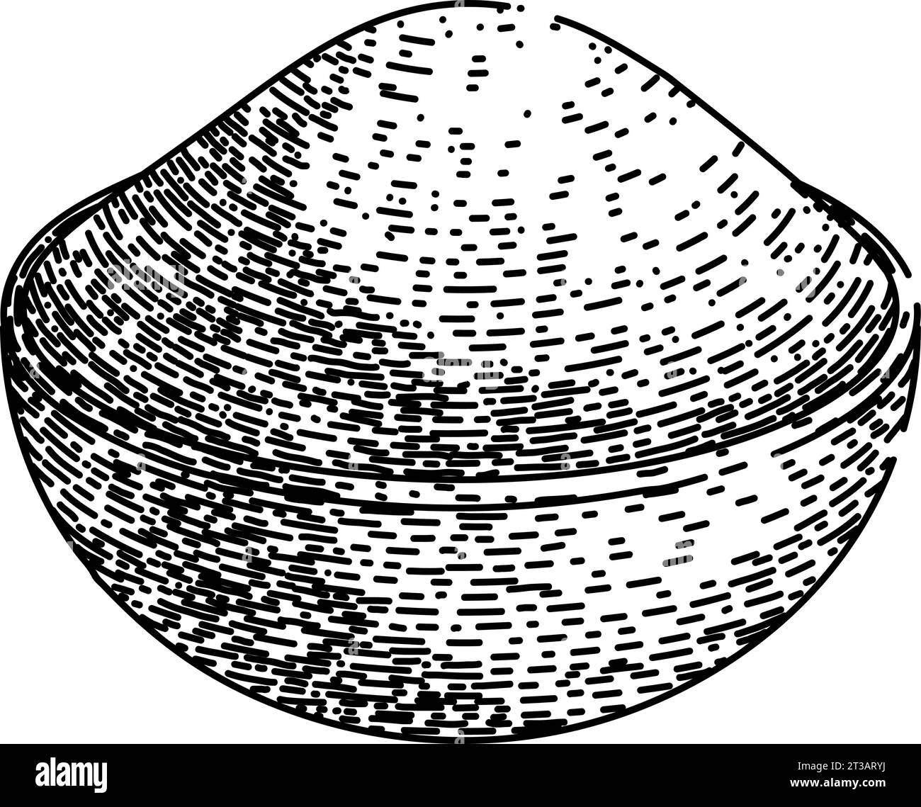 red paprika sketch hand drawn vector Stock Vector Image & Art Alamy