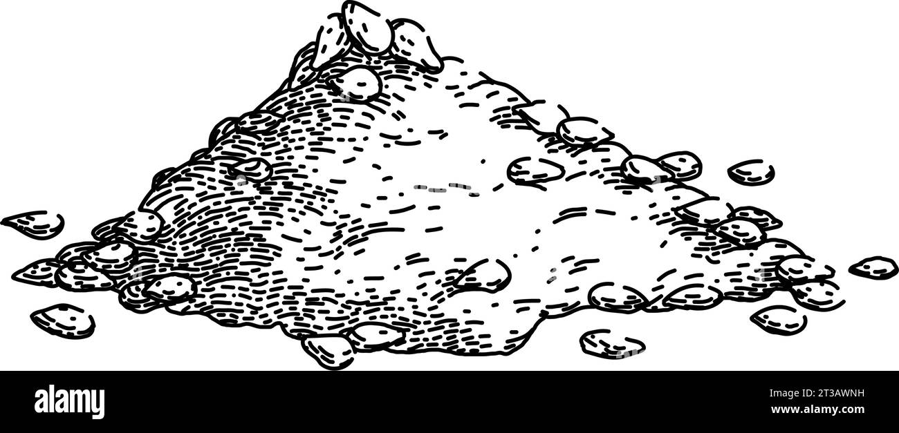 healthy sesame seed sketch hand drawn vector Stock Vector Image & Art