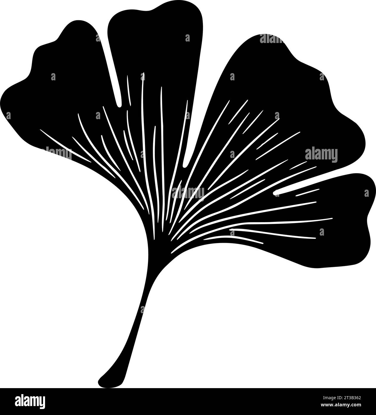 Ginkgo leaf silhouette. Vector illustration Stock Vector