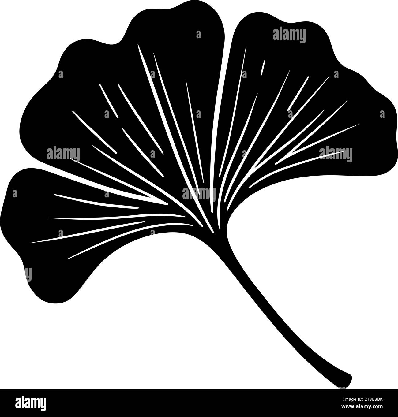 Ginkgo leaf silhouette. Vector illustration Stock Vector