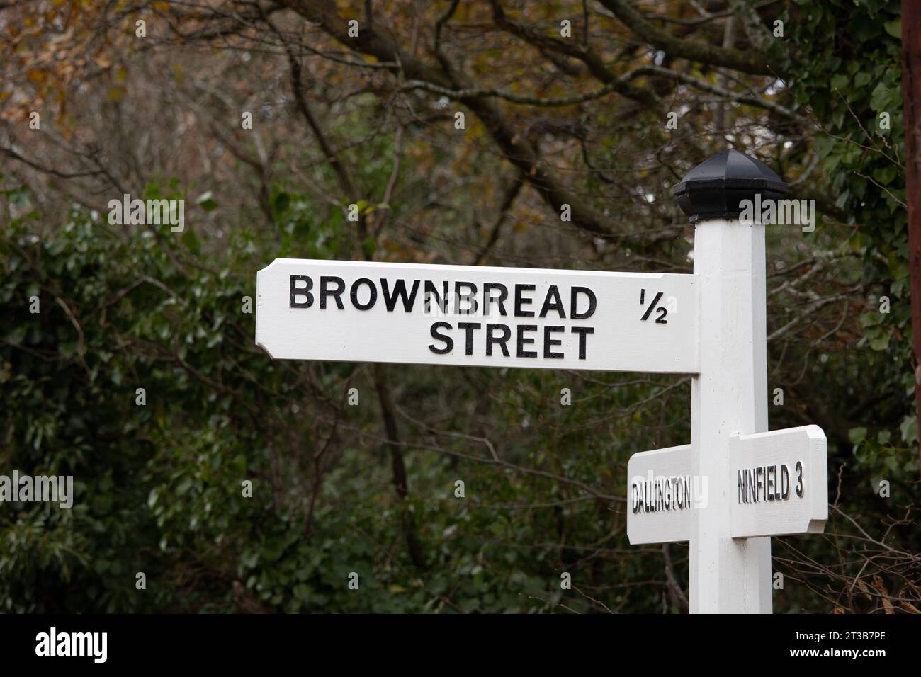 Road sign for Brownbread Street in East Sussex, England. Stock Photo