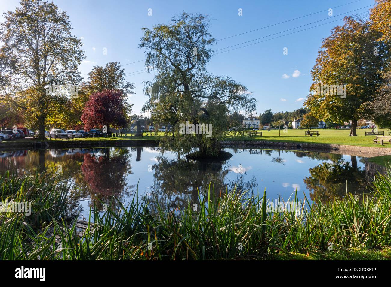 Godstone, Surrey, England, UK, view of the pretty village and village pond on a sunny October or autumn day Stock Photo