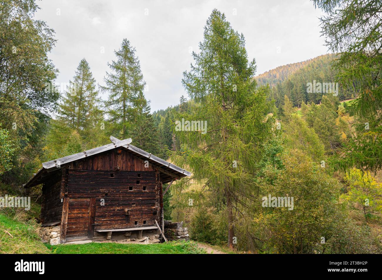 Wooden cottage in the forests in Puster valley, South Tyrol, Italy. Stock Photo