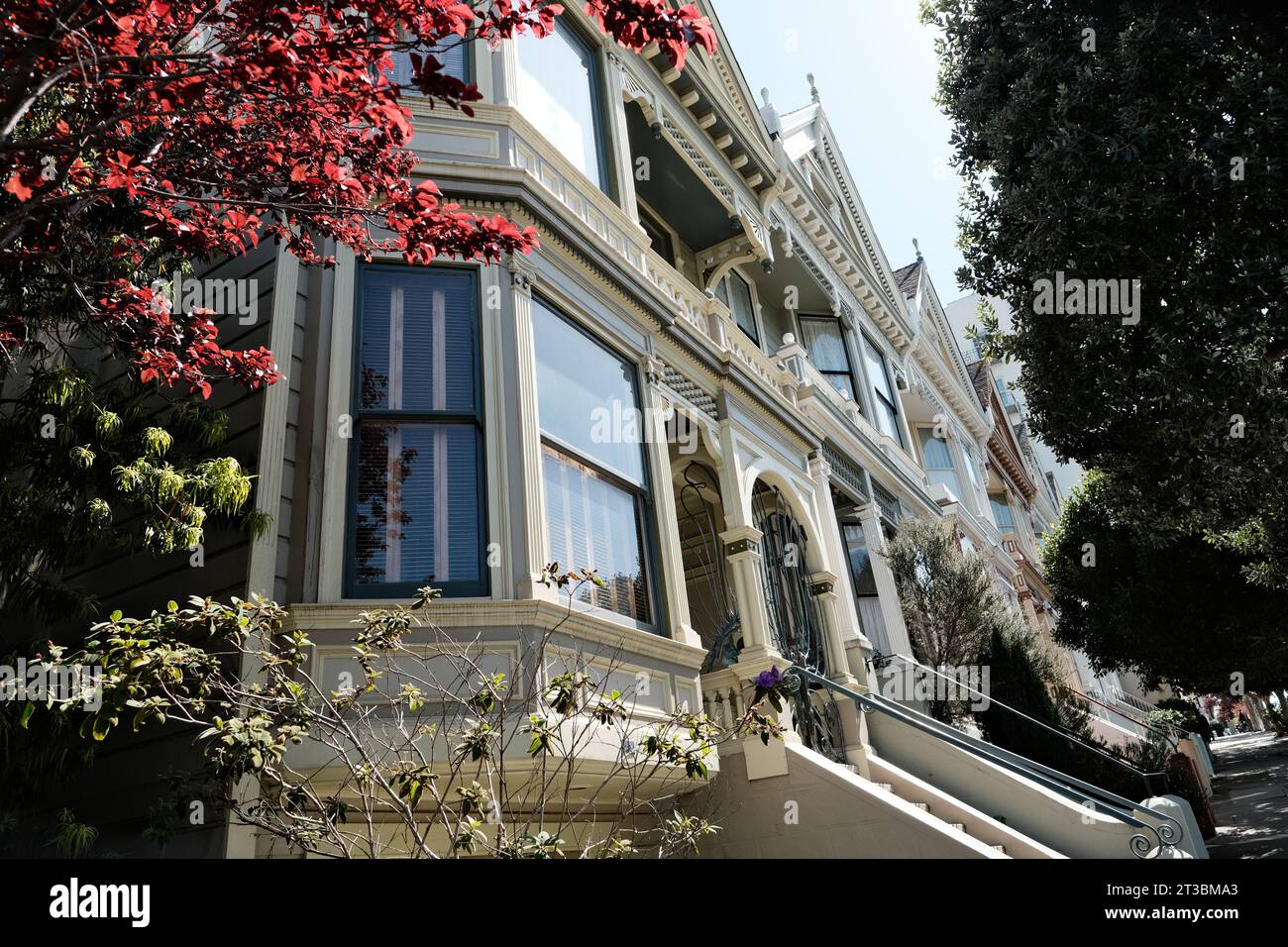 painted ladies san francisco california