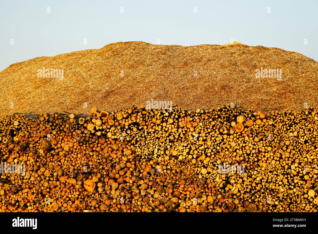 Large pile with logs and wood chips, sustainable renewable heat energy ...