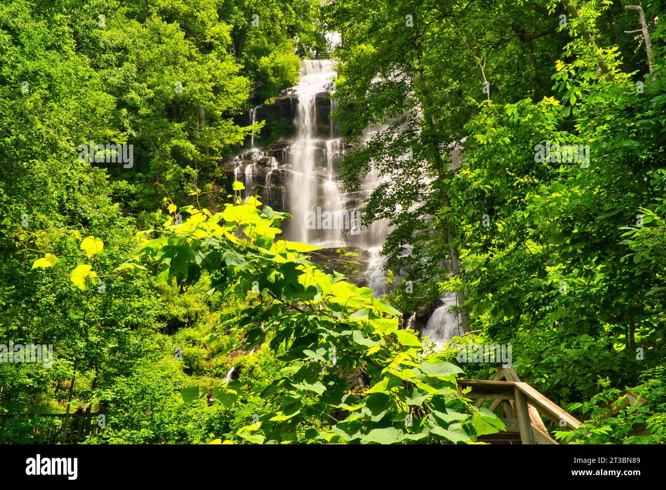 Panoramic view of Amicalola waterfalls the tallest waterfall in state