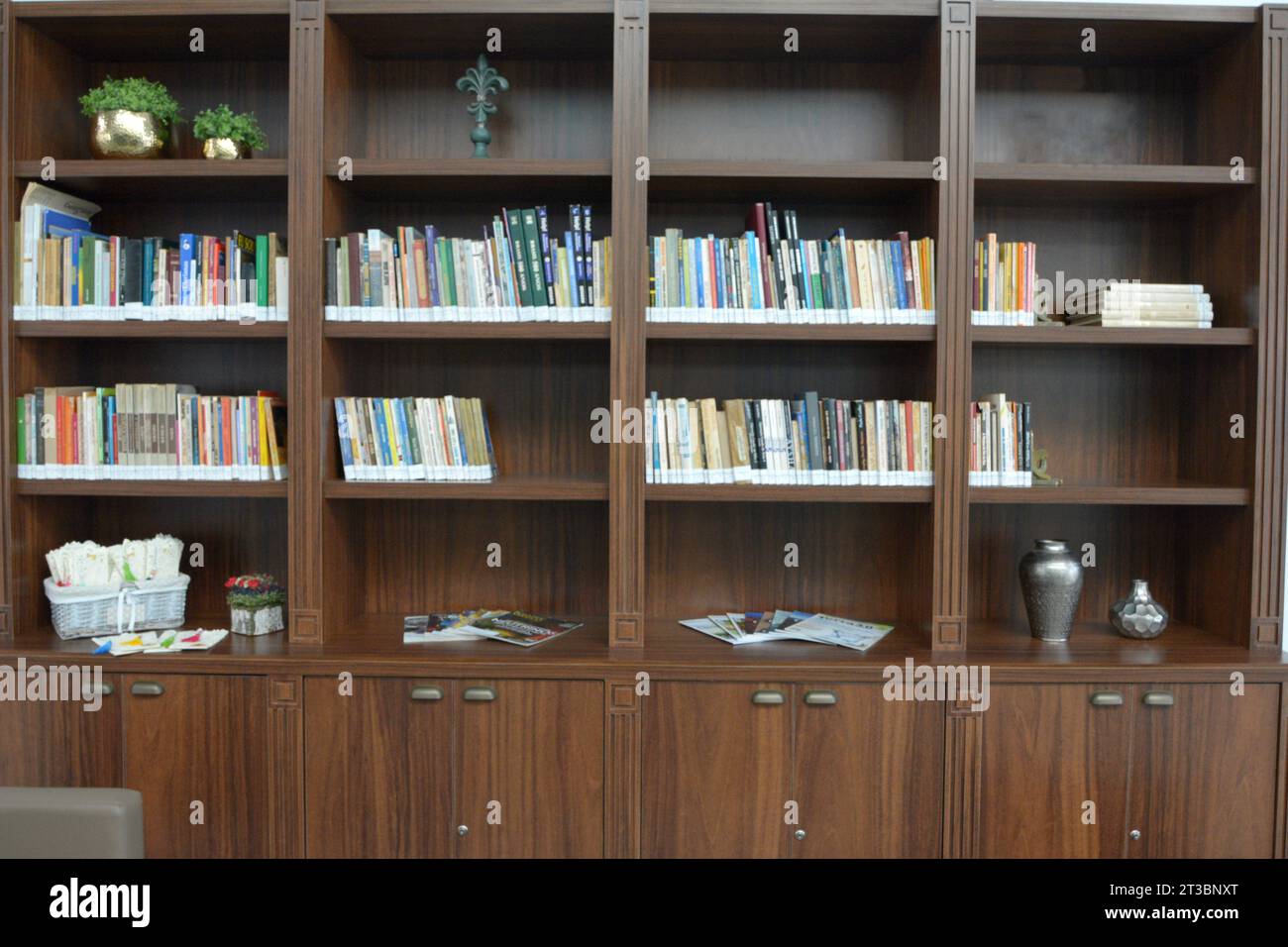 Wooden bookcase with placed books and decorative material. vases and plants Stock Photo