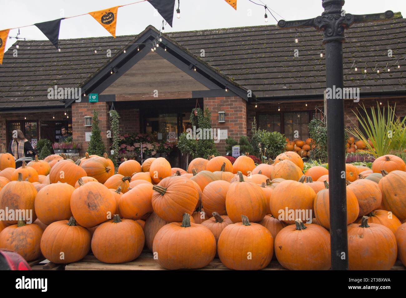 The Hollies farm shop selling pumpkins and flowers in October Stock Photo