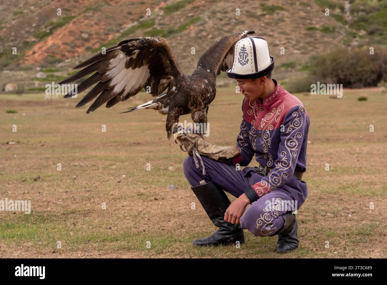 Kyrgyz hunter with trained Golden Eagle (Aquila chrysaetos), Song kol lake, Naryn region, Kyrgyzstan Stock Photo