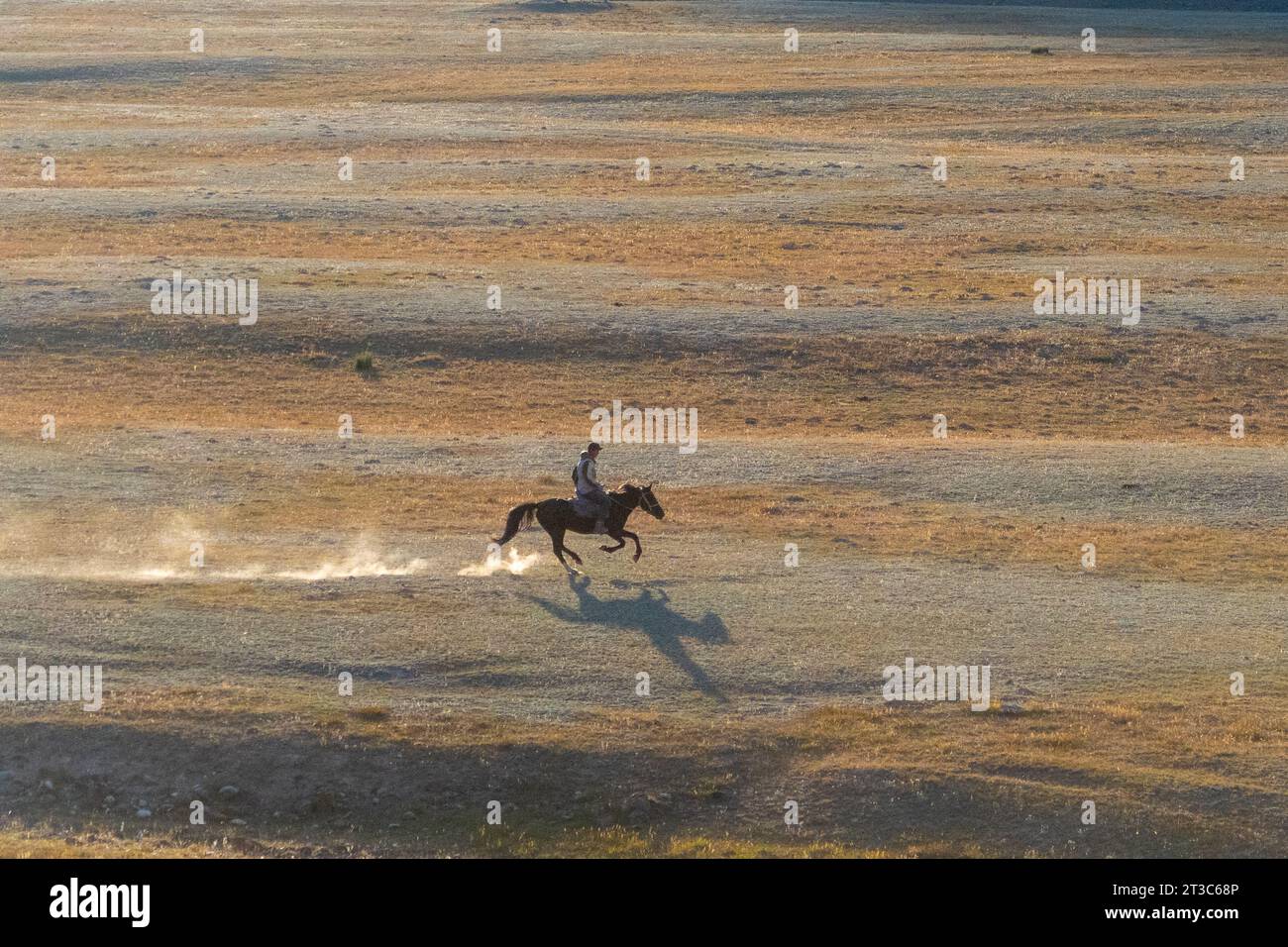 Lone horse rider galloping in Kyrgyzstan prairie Stock Photo Alamy
