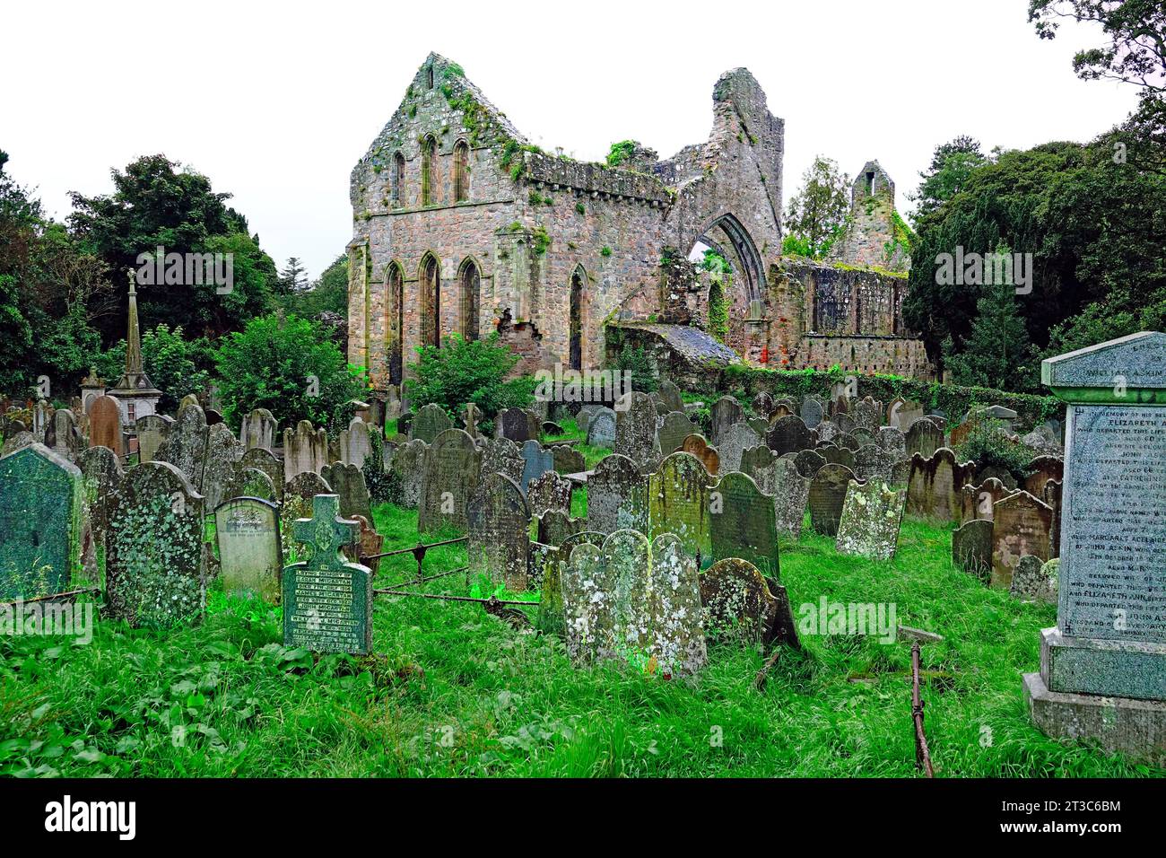 Grey Abbey Ruins Ards Peninsula Northern Ireland  British Isles United Kingdom UK Stock Photo