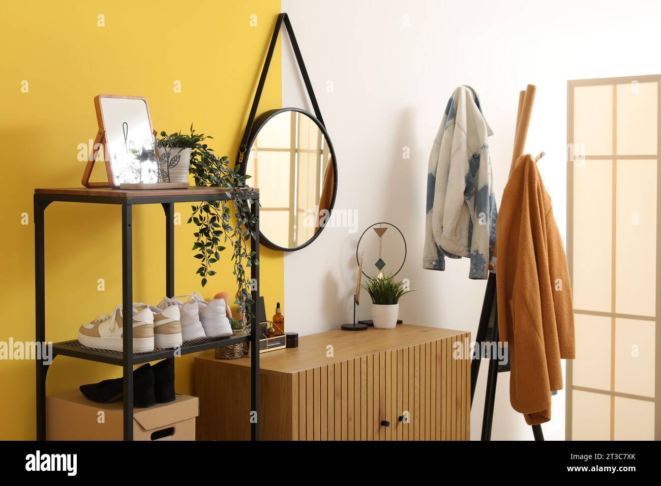 Interior of stylish hallway with mirror, wooden cabinet, shoe stand and rack Stock Photo