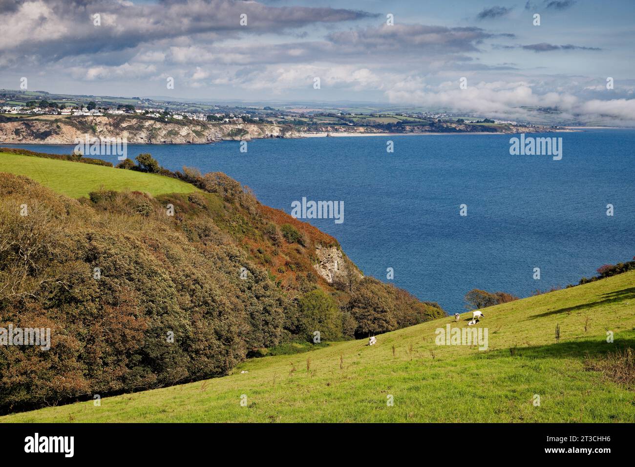 St Austell Bay Stock Photo Alamy