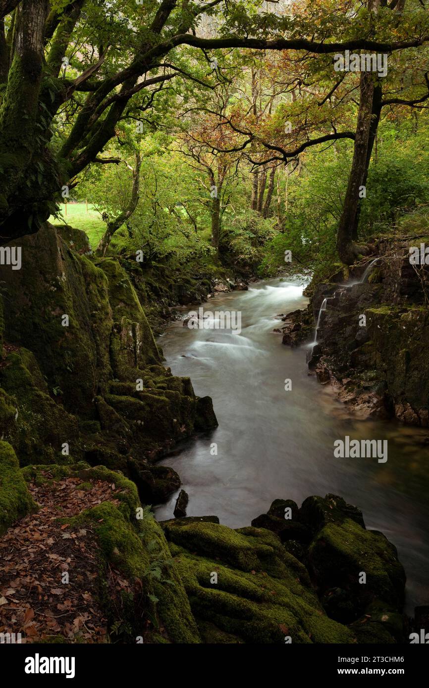 River Esk at Gill Force Waterfall, in Eskdale, Cumbria, UK Stock Photo