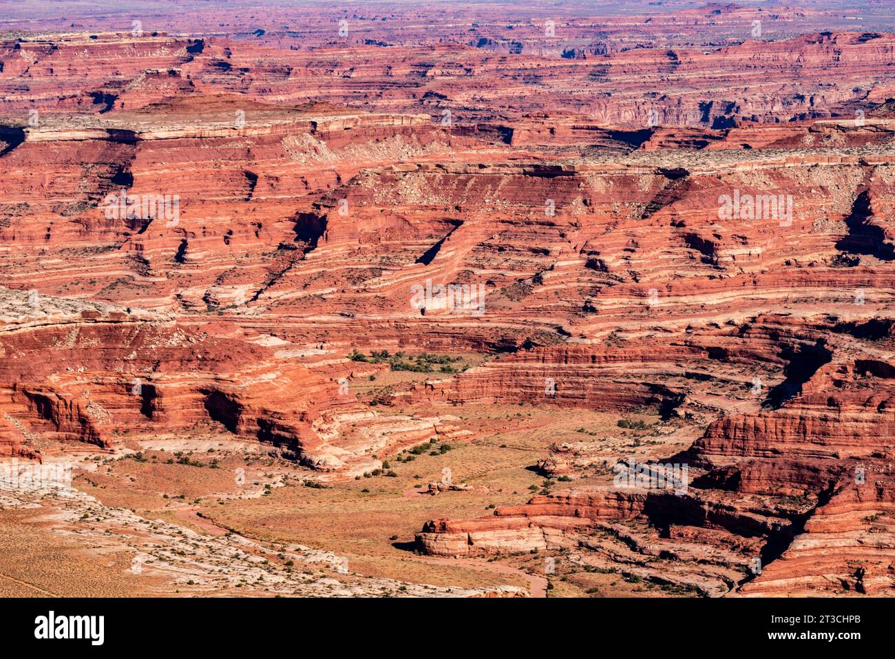 Photograph of Canyonlands National Park from Panorama Point in Glen