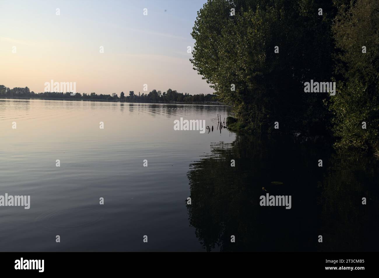 Trees and their reflections by the lakeshore at sunset Stock Photo - Alamy